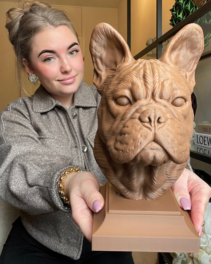 Franse bulldog – diverse kleuren beschikbaar