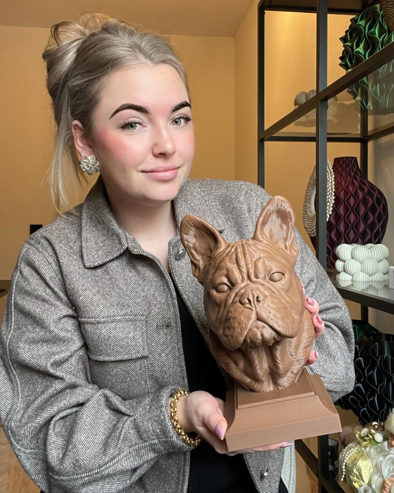 Franse bulldog – diverse kleuren beschikbaar