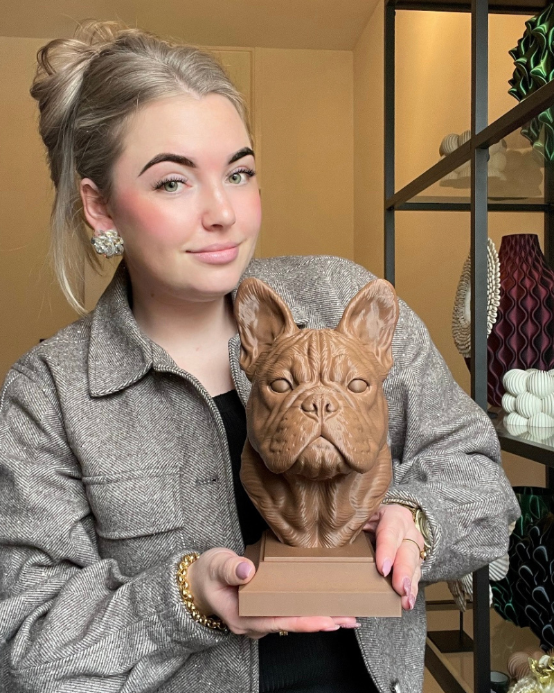 Franse bulldog – diverse kleuren beschikbaar